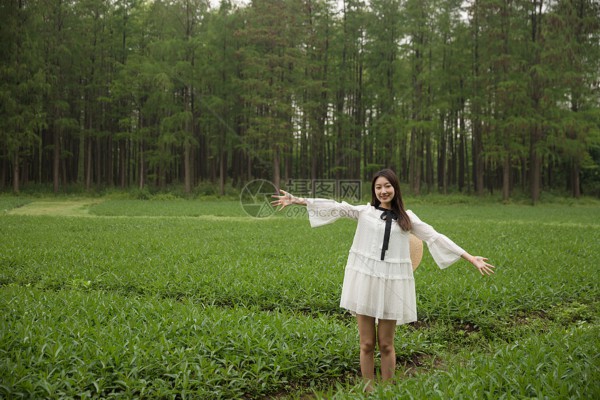 武汉空姐喝茶，价格揭秘！